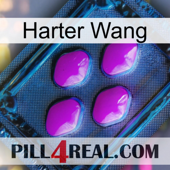 Hard Wang 04